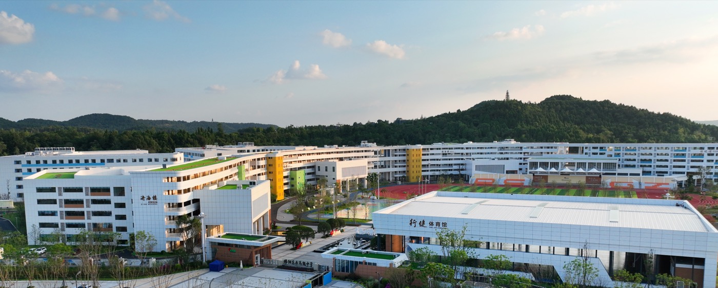绵阳东辰高级中学校园建筑与运动场